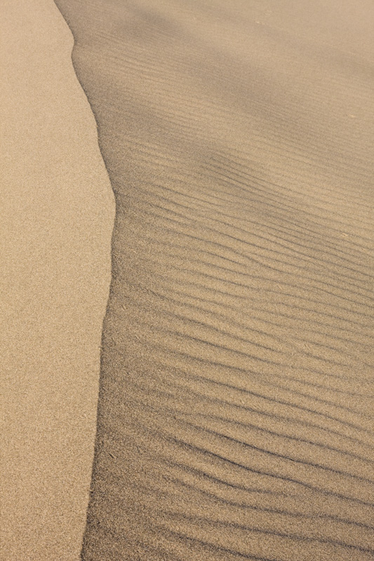 Dune Crest